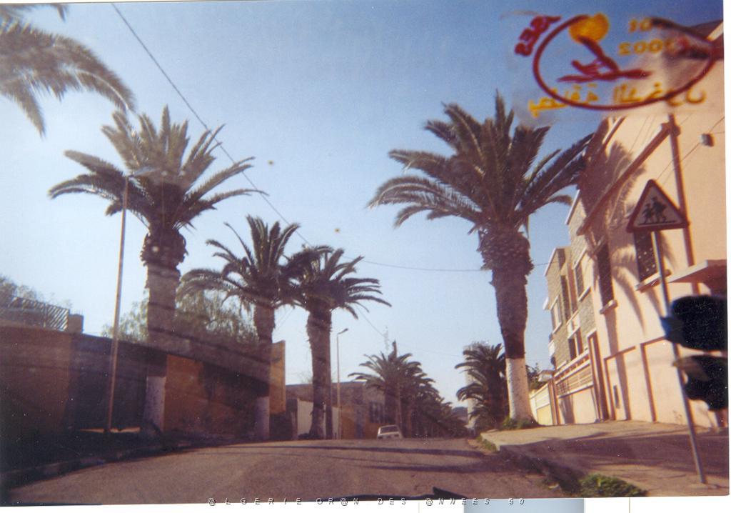 ORAN 2003 08 AVENUE DES PALMIERS ET ANNEXE.JPG